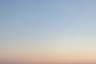 Assure polite his really and others figure though